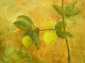 Lemon Tree (Acrílico) (92x73 cm)