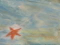Estrella solitaria (Acrílico) (81x65 cm)