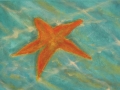 Estrella abandonada (Encáustica sobre tabla)  (40x 30cm)