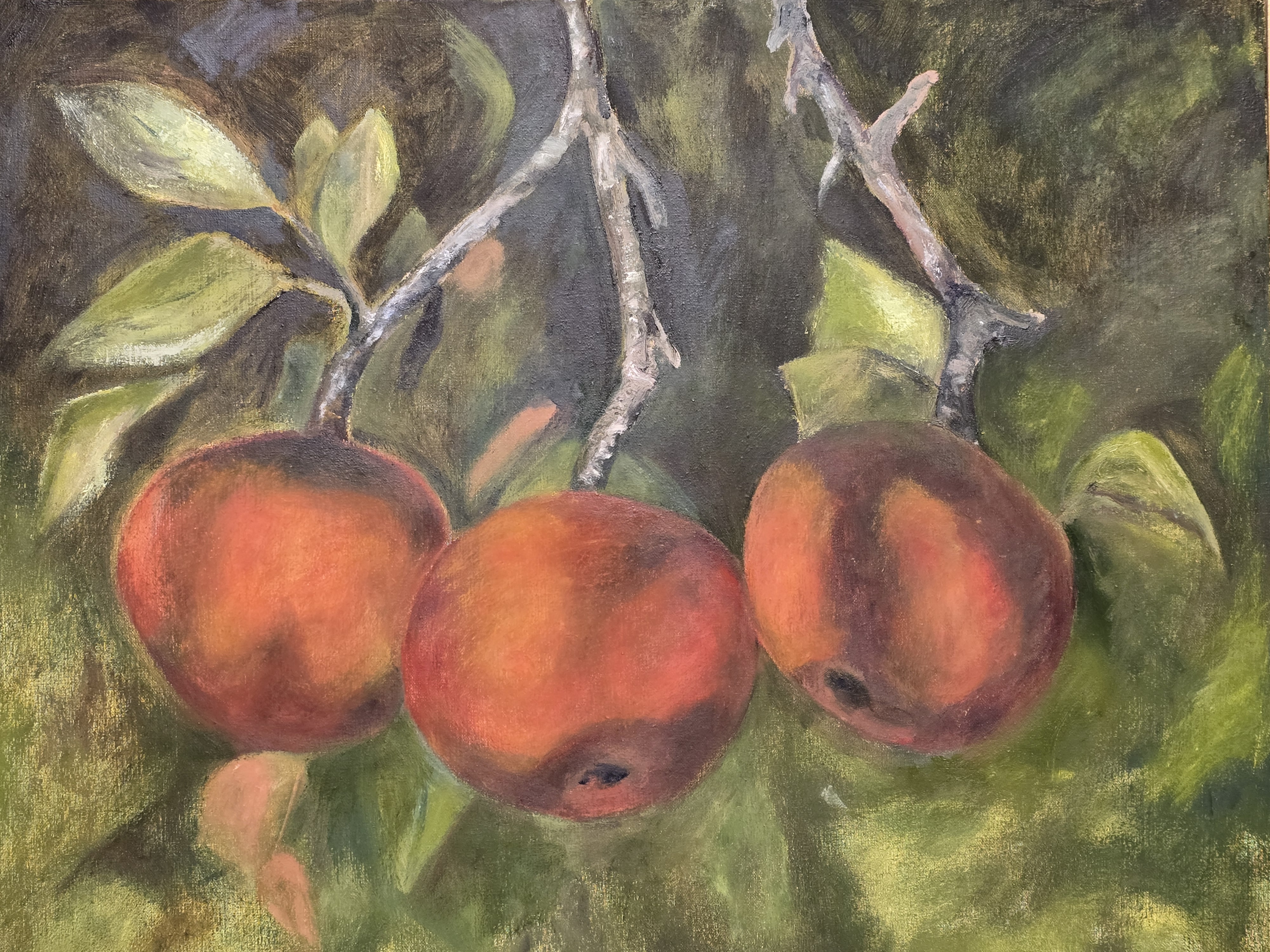 Manzanas (Óleo) (60x73 cm)